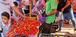 في حضرة مهرجان الكرز… حمانا تستعيد نبضها