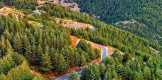 تدابير سير غداً بمناسبة حفل افتتاح غابة شهداء قوى الأمن الداخلي في محميّة أرز الشوف