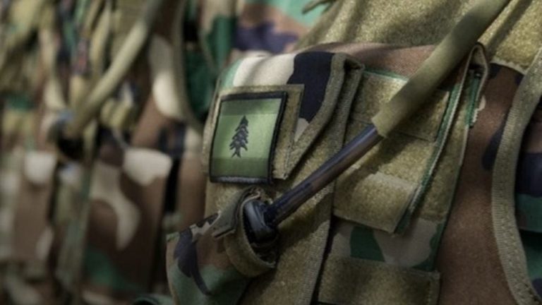 *الجيش: تفجير ذخائر في حقل القليعة*