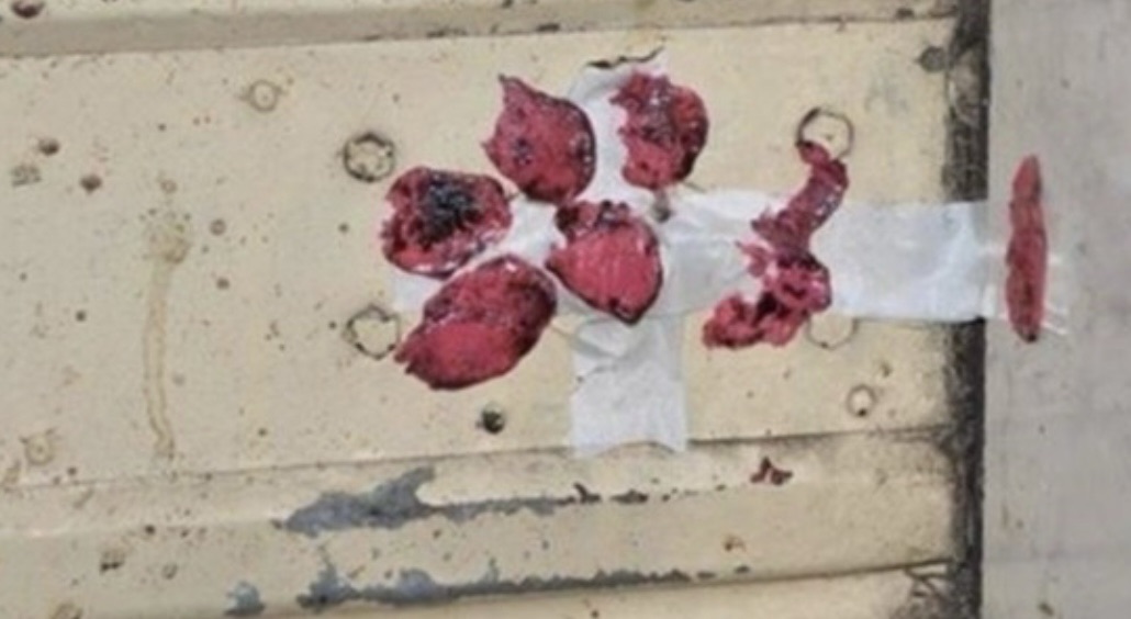 *إقفال معمل مخالف في النويري لتصنيع السبيرتو والأدوية بقرار من محافظ بيروت*