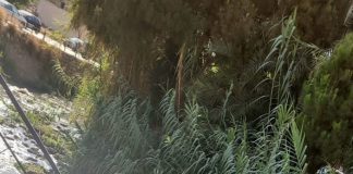 سقوط سيارة في نهر فوار انطلياس قرب مركز الصليب الأحمر