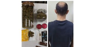 توقيف شخص يزرع الماريجوانا في منزله…في النقاش