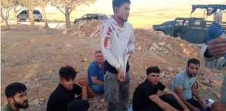 ما جديد المعلومات عن خلية بتبيات ؟