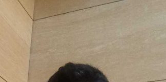 العثور على جثة شاب تحت الطريق العام في مجذوب _بصاليم !