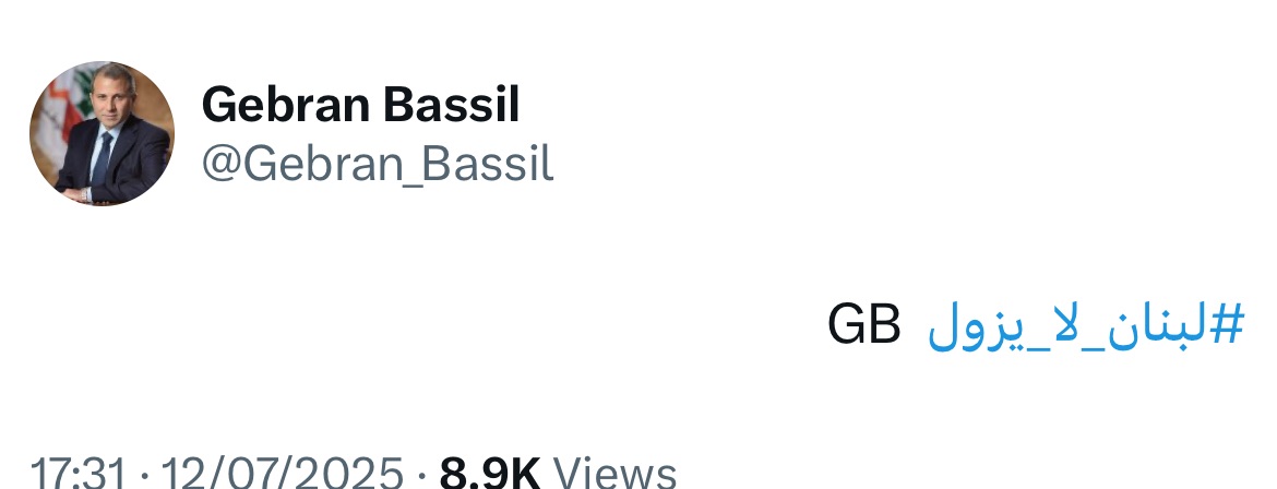 باسيل : لبنان لا يزول