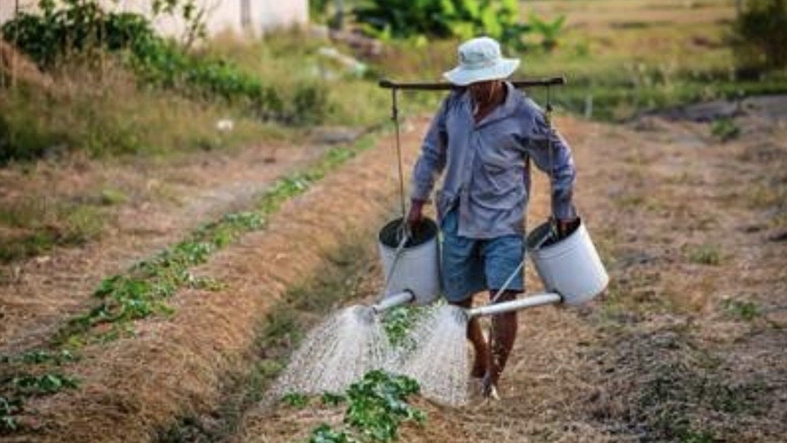 *طبابة عكار تحذّر من رش المبيدات قرب المنازل… وتدعو للوقاية مع بداية الصيف*