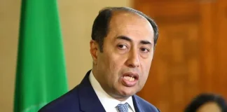 حسام زكي: لمست لدى برّي تفهّماً ودعماً لمبدأ حصرية السلاحِ بيد الدولة… ولكن