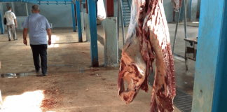 إقفال مسلخ صيدا لمخالفته الشروط الصحية والسلامة العامة