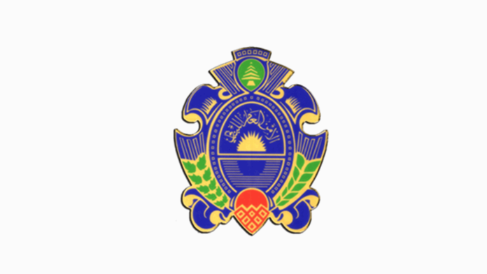 Doc-P-874053-638913961924827741