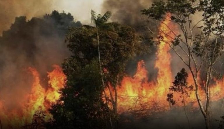 *حرائق قياسية في إسبانيا تدمر أكثر من 343 ألف هكتار منذ بداية 2025 وتثير المخاوف من اتساع النيران*