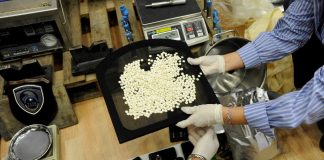 الأردن… ضبط أكثر من نصف مليون حبّة كبتاغون!