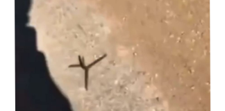 مسامير من محلقة إسرائيليّة في شوارع رامية