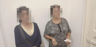 إلقاء القبض على سيدتين تقومان بالسرقة في نطاق بلدية الدكوانة