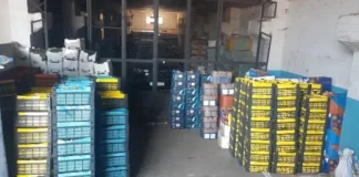 ضبط كمية من العنب والليمون المهرّب في طرابلس وبيروت