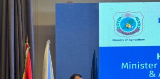 شحادة: انتقال لبنان إلى الجمهورية الرقمية خيار لا يحتمل التأجيل