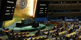 رئاسة مؤتمر حل الدولتين: إنهاء الحرب في غزة أولوية قصوى