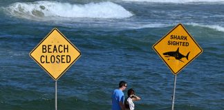 هجوم قاتل من سمكة قرش في سيدني… والسلطات تُرسل مسيّرات وهليكوبتر لمراقبة الشاطئ (صور)