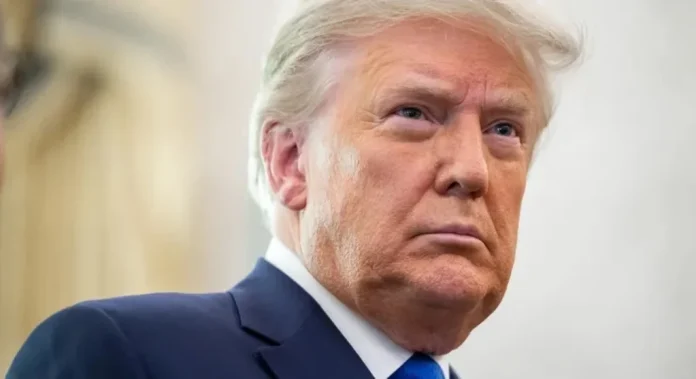 Donald-Trump-newpic256