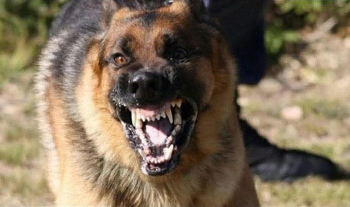 FB_IMG_1757610701846