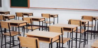 Data مدارس في كل لبنان بيد أولاد نعيم قاسم