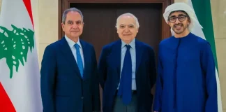 لقاء بين عبدالله بن زايد وجو الصدّي… بحث بآفاق التعاون بمجال الطاقة