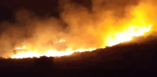 تمكّنت فرق الإطفاء في الدفاع المدني من إخماد حريقين في منطقة جزين، الأوّل في أنان قضى على مساحات من الخيم ونبتات زراعية والثاني في محيط الحمصية طال عددًا من أشجار الصنوبر