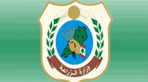 الزراعة تدعو البلديات للمشاركة في تشجير جوانب الطرق