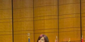 لبنان قدم صورته الحقيقيةعلى مسرح جون كينيدي سنتر”رحبانيات” تعانق العالمية…