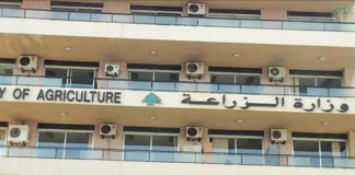 مزارع يسمم المياه في المجيدية – حاصبيا… والزراعة تتحرك