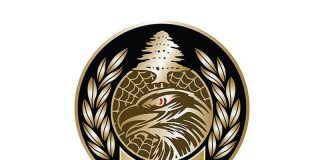 مصادرة مسدسات العاب صناعة إسرائيلية في الكورة