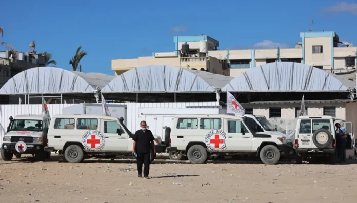 1123455669_224211_large