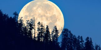 في ظاهرة فلكية نادرة .. “القمر العملاق” يتألق في سماء لبنان مساء اليوم