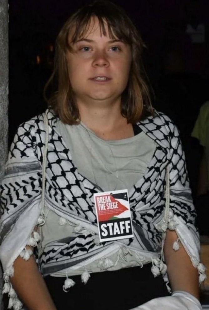 *أرسين تشليك: غريتا ثونبرغ تعرّضت لتعذيب شديد على متن أسطول الصمود*