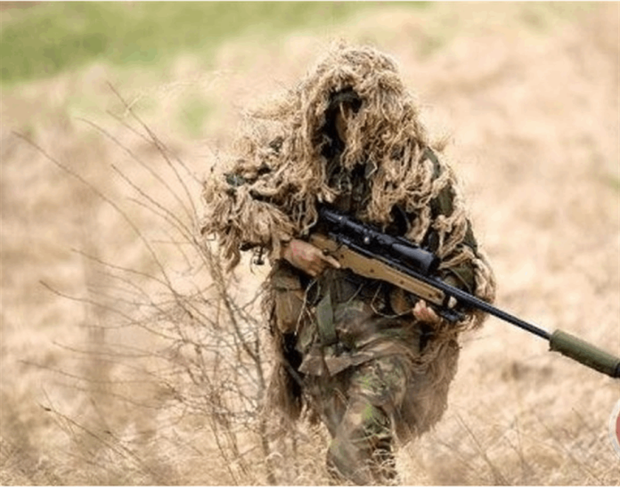 Doc-P-546403-638956746180855504