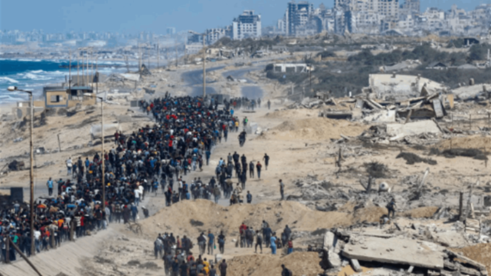 Doc-P-883675-638957540561324233