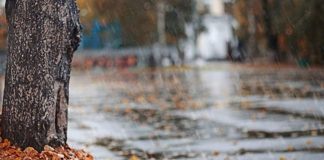 كتل هوائية رطبة تؤثر على لبنان