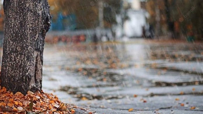 Doc-P-883854-638958468304405380