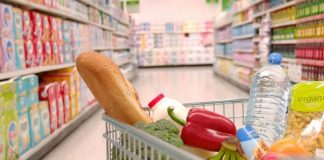 ممثلة “الفاو” في لبنان : معدلات انعدام الأمن الغذائي في لبنان مرتفعة