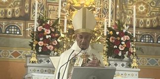 الراعي : لا يجوز مطالبة المغتربين بدعم وطنهم وحرمانهم من التصويت