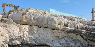 ناشط بيئي يُضرب عن الطعام والسبب “فقمة الراهب”