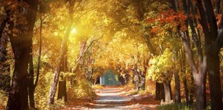 أجواء خريفية تسيطر على لبنان