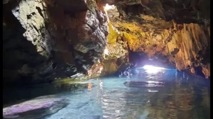 image-1760779891.jpeg (1)