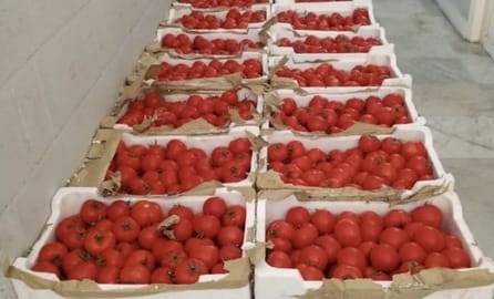 *ضبط كميات كبيرة من المنتجات الزراعية المهرّبة*