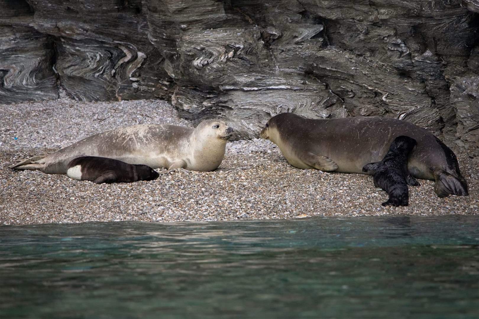وزارة البيئة وقف الأعمال في مغارة عمشيت إلى حين الإنتهاء من الكشف الميداني