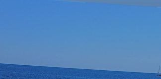 بالصورة- إمرأة لبنانية في أسطول الصمود!