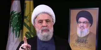 أدرعي: نعيم قاسم يهلوس