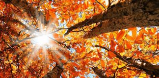 الحرارة إلى إرتفاع.. اليكم طقس الـweekend