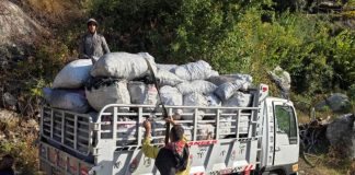 بالصّور: ضبط عمليّة تفحيم غير شرعيّة ووزارة الزراعة تحذّر