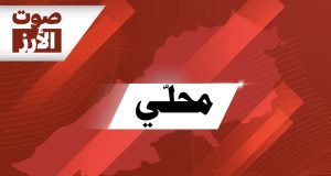 ماذا يحصل في طيرفلسيه؟