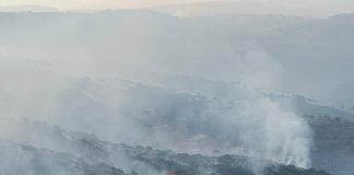 تجدد الحريق في منطقة جزين الذي قضى على عدد كبير من اشجار الصنوبر وقد عملت سيارات الدفاع المدني بمعاونة عناصر الجيش على حصرها ، وتمتد النيران في اتجاه احراج بكاسين وعراي وتعمل طوافات الجيش على اطفائها